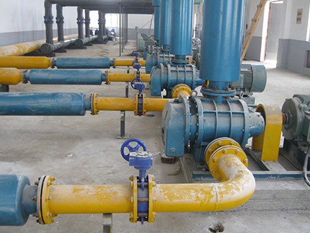 化工行業(yè)用羅茨風(fēng)機(jī)沼氣輸送案例 化工行業(yè)用羅茨風(fēng)機(jī)沼氣輸送案例